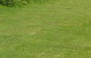 Grass Shoulder Friction