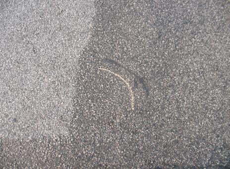 Gouge Accident Reconstruction