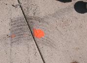 Skid Mark