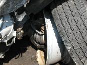 Wheel Examination
