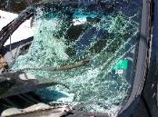 Crushed Windshield