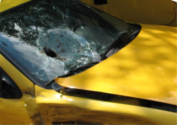 Windshield Exam During Accident Investigation